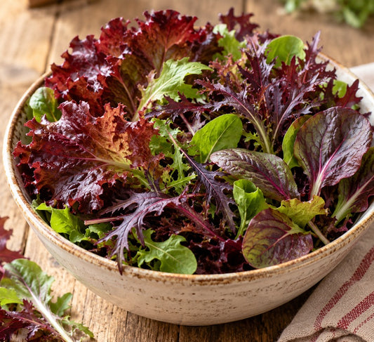 Christmas Salad