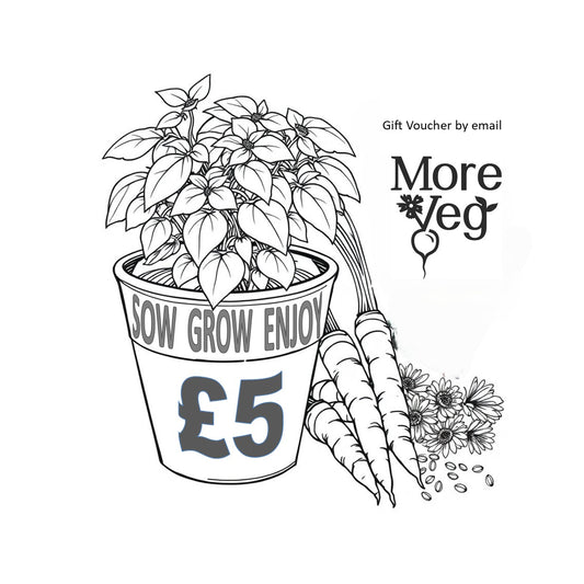 Gift Vouchers - Email