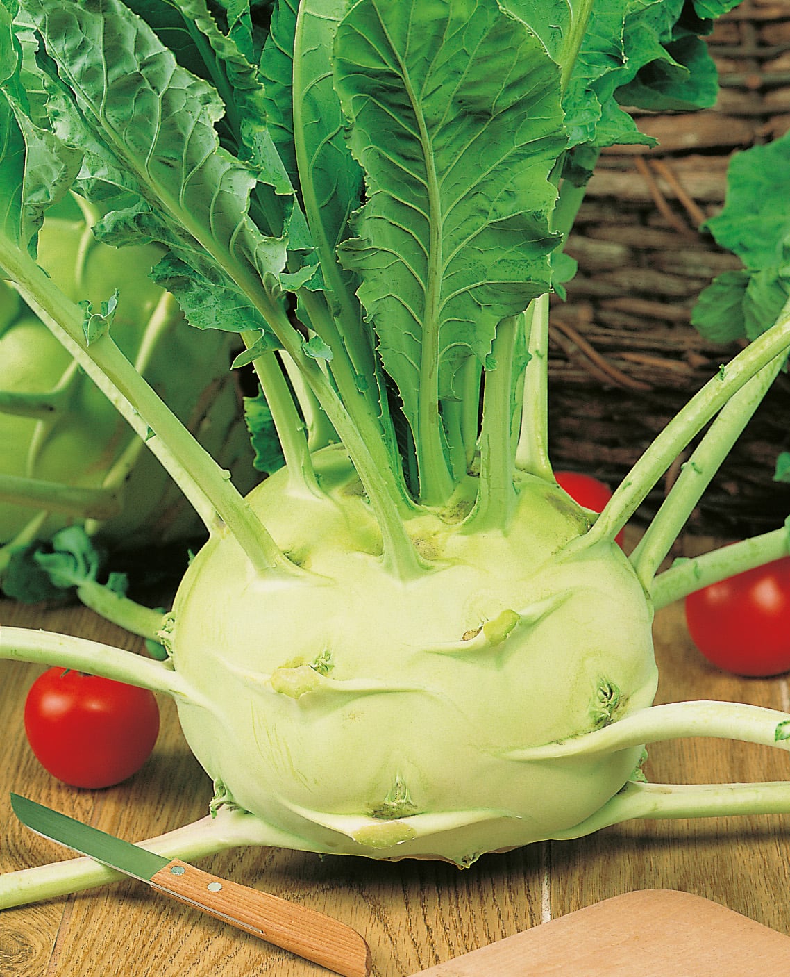 Kohl Rabi Superschmelz