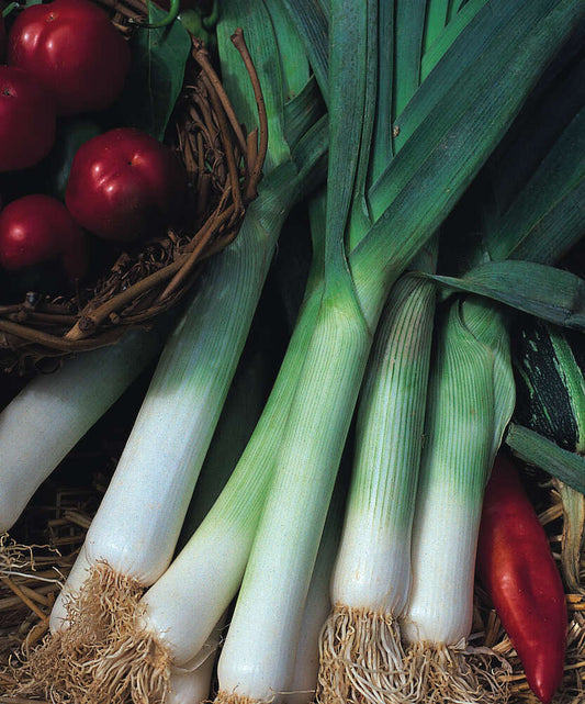 picture of LOVELY LEEKS