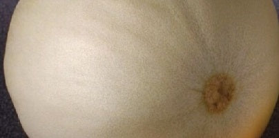picture of Melon Temptation