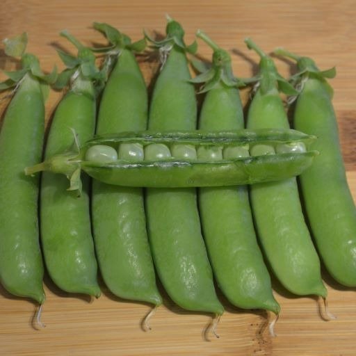 Pea First Early May