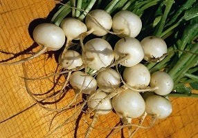 picture of Radish Hailstone