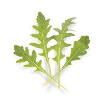 picture of Rocket Athena