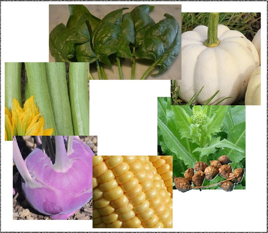 Summer Kitchen Garden Collection