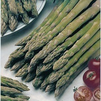 picture of Asparagus Connovers Colossal