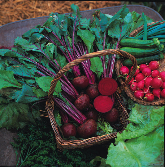 Beetroot Boltardy