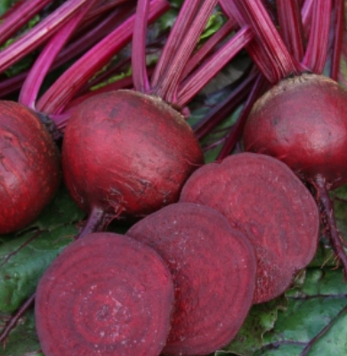 Beetroot Boston