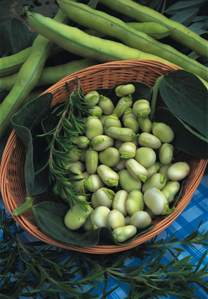 picture of Broad Bean Witkeim Manita