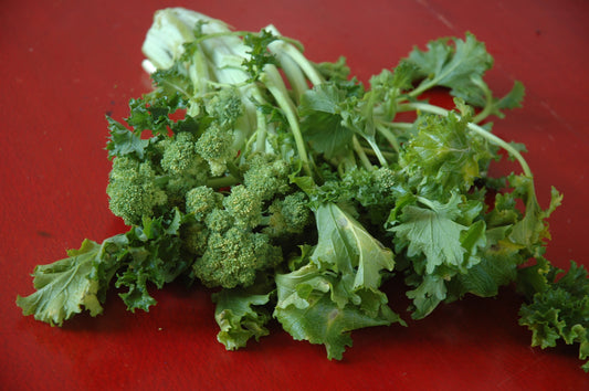 Broccoli Raab Trio 2027