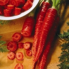 Carrot Atomic Red