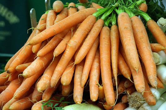 Carrot Karotela