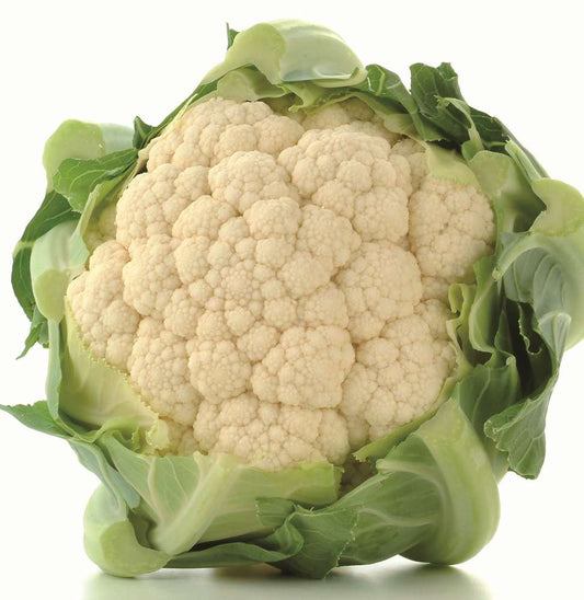 picture of Cauliflower Atalaya F1