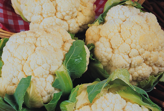 Cauliflower Igloo