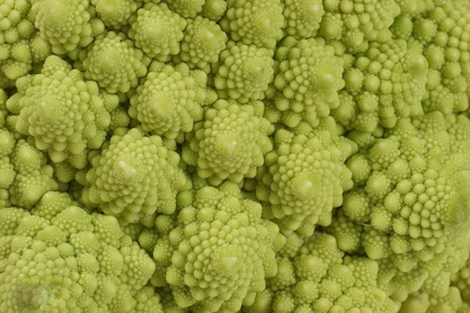 Cauliflower Romanesco