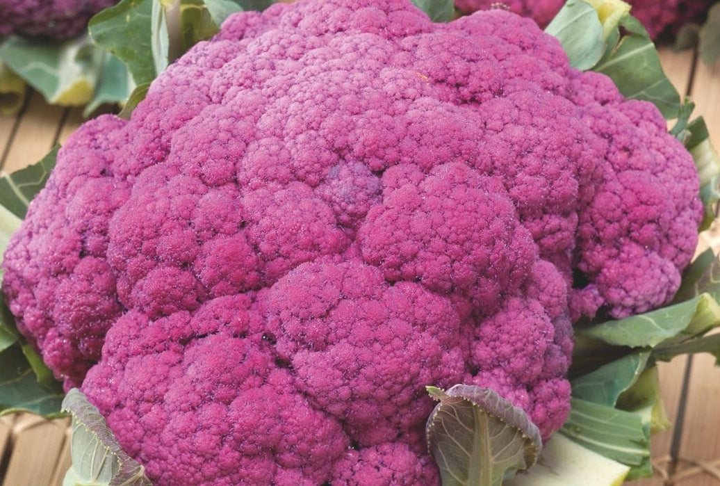 Cauliflower Sicily Purple