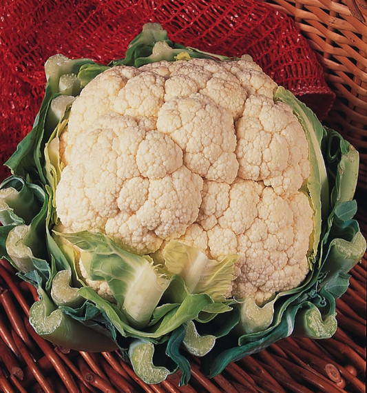 Cauliflower Snowball