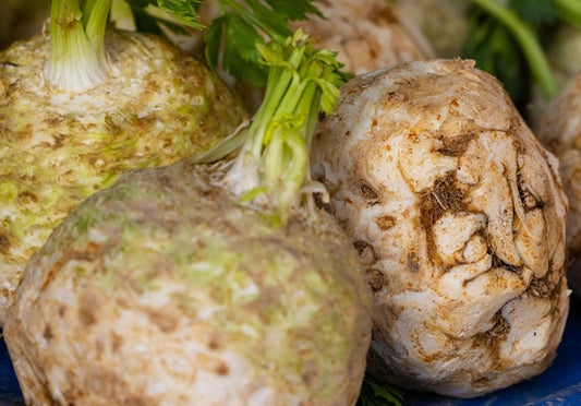 Celeriac Del Veneto