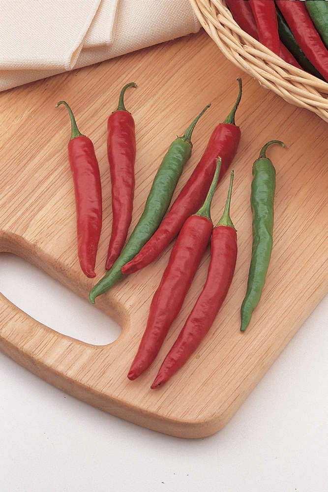 picture of Chilli Chiang Rai