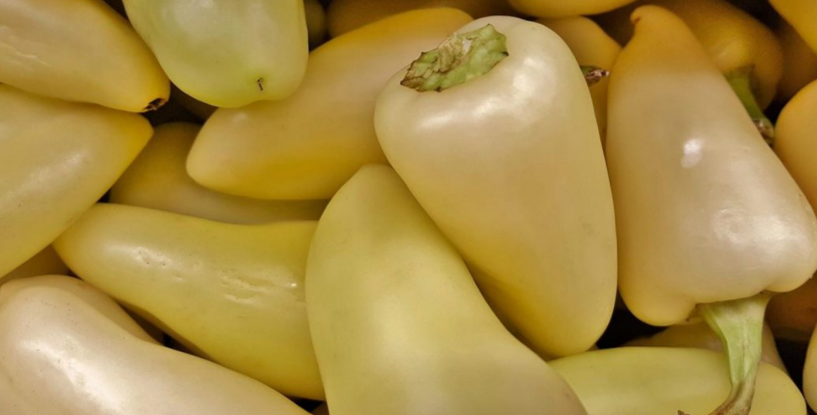 Chilli Caloro
