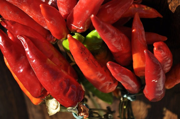 Chilli Mazzetti