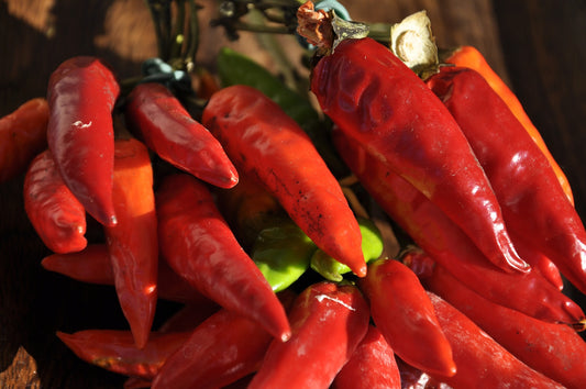 Chilli Rokita