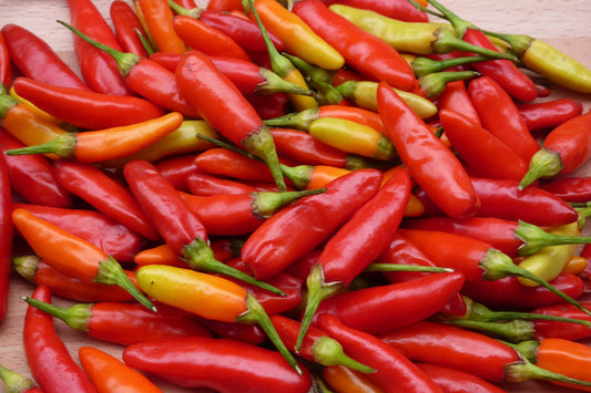Chilli Tabasco