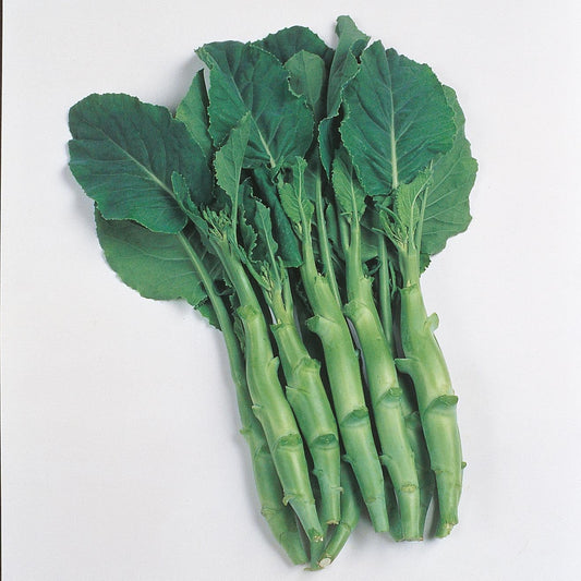 Chinese Broccoli Kailaan