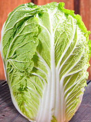 Chinese Cabbage Michihili