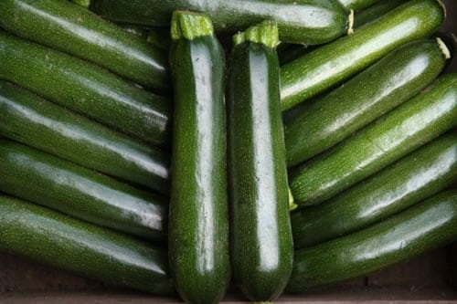 Courgette Midnight F1