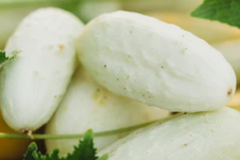 Cucumber White Pickle Mini