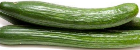 Cucumber Early Spring Burpless F1