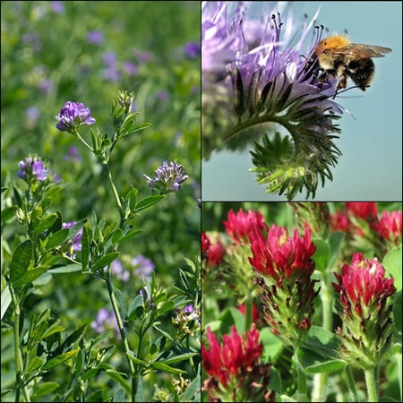 Feed Your Garden Collection
