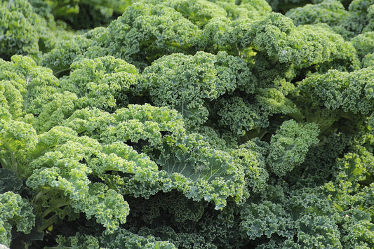 Kale Kapral