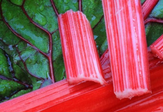 Leaf Beet Flamingo