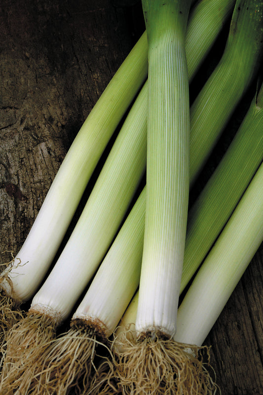 Leek Bandit