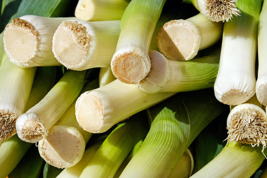 Leek Elefant