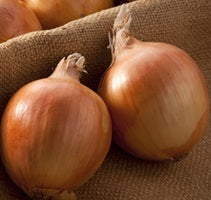 picture of Onion Bonus F1