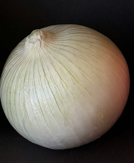 Onion Sweet Spanish White