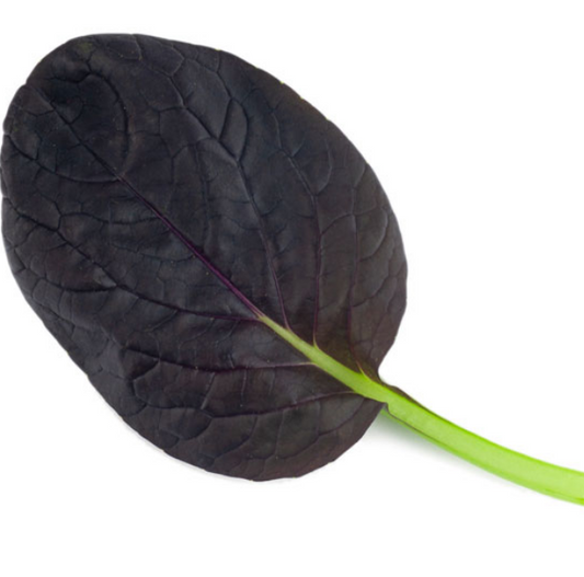 Pak Choi Purple Rain F1