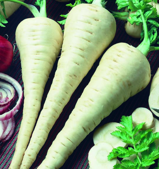 Parsnip Trio
