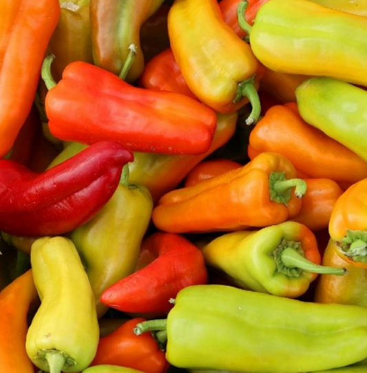 Pepper Cubanelle