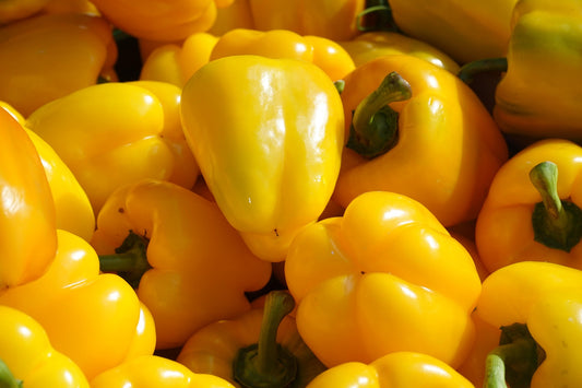 Pepper D Asti Giallo