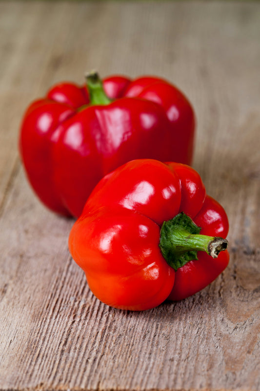 Pepper Topepo Rosso