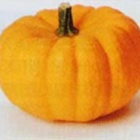 BIG AUTUMN HARVEST