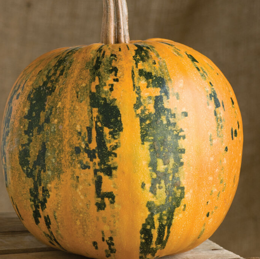 Pumpkin Kakai