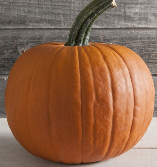 Pumpkin Racer F1