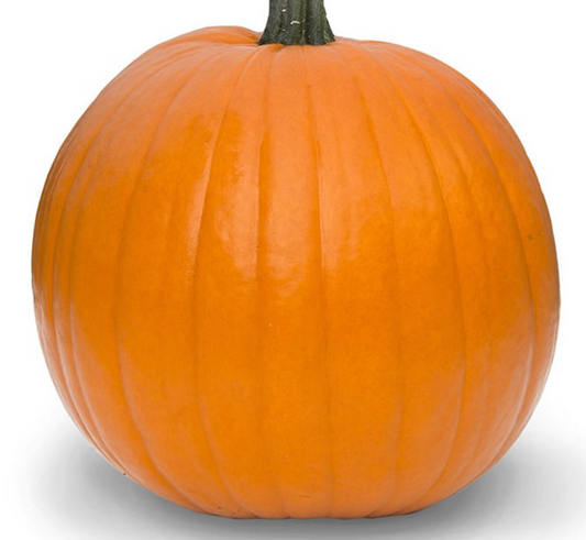 Pumpkin Wicked F1
