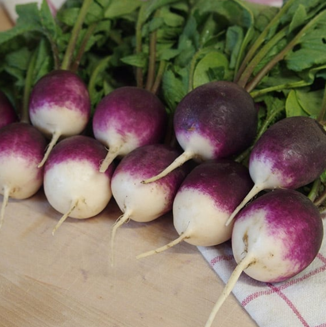 RAVISHING RADISHES 2026