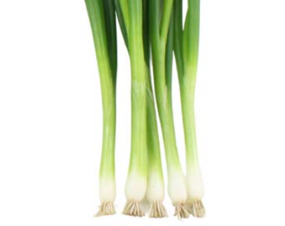 Spring Onion Marksman